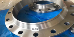 Flange